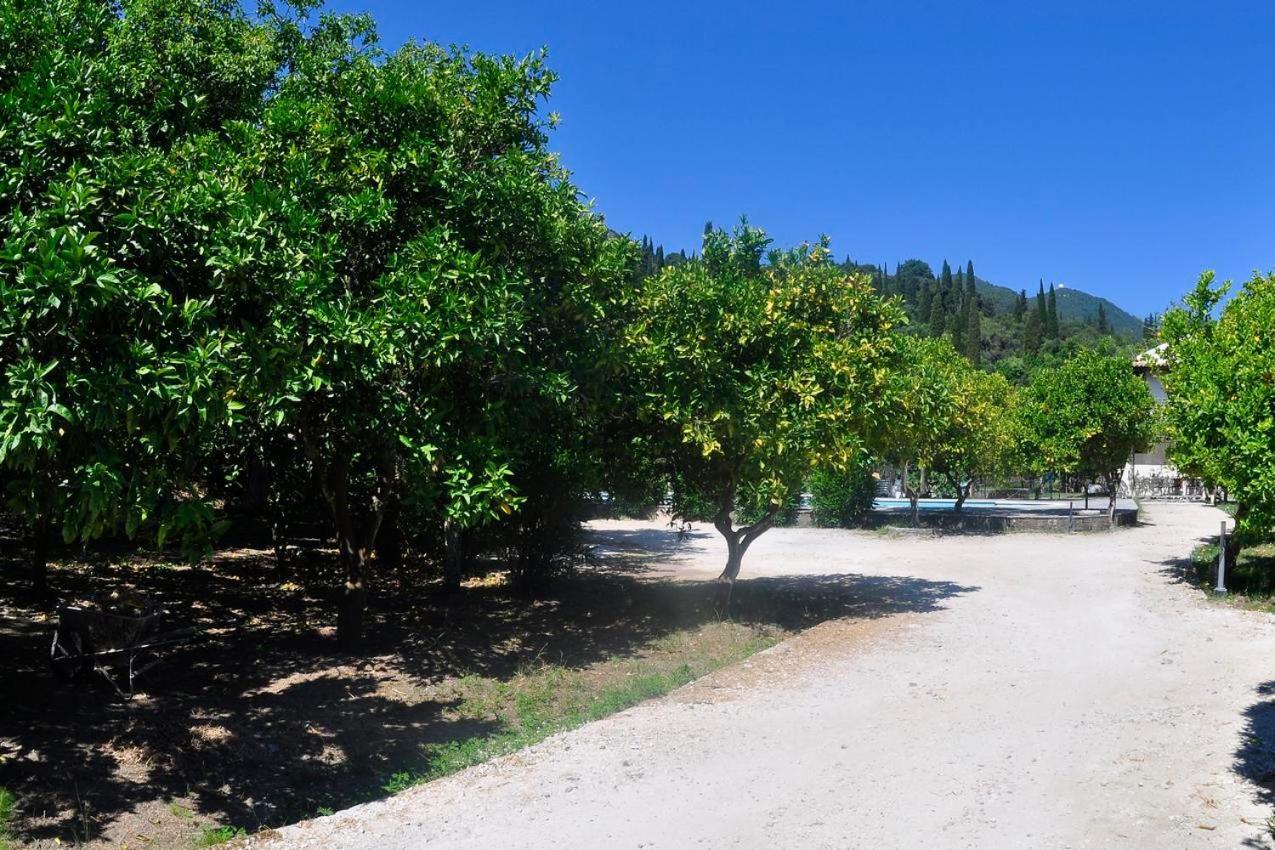 Orange Grove Suites Benitses  Extérieur photo