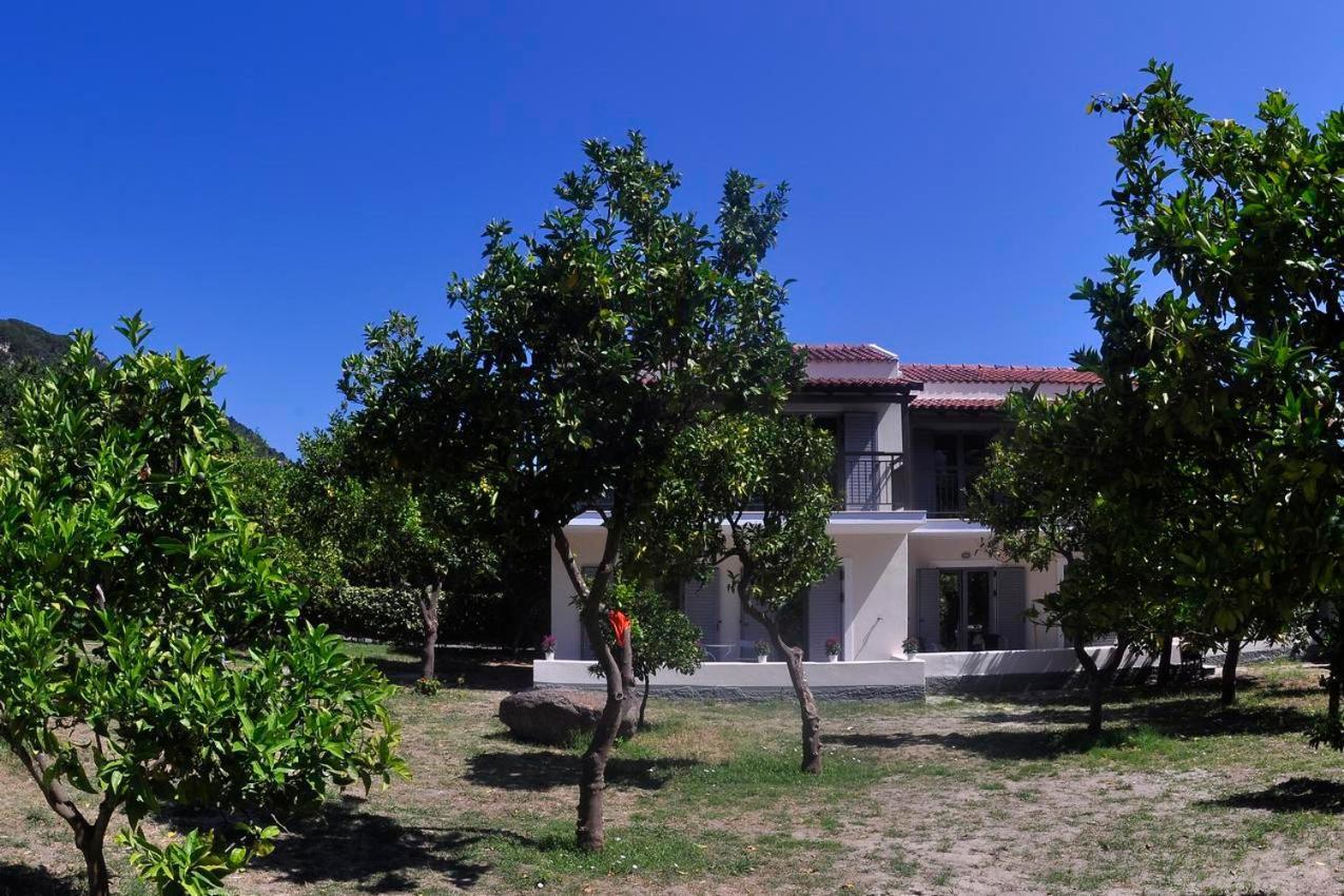 Orange Grove Suites Benitses  Extérieur photo