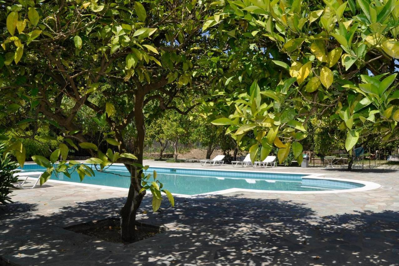 Orange Grove Suites Benitses  Extérieur photo